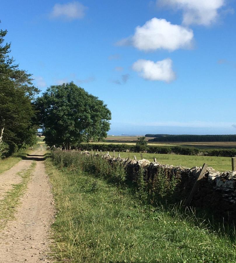 Caithness View Luxury Farm Lodges And Bbq Huts Wick  Dış mekan fotoğraf
